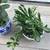 Various jades in 2 Asian ceramic pots 2 thumbnail