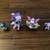 LITTLEST PET SHOP ~ ALL 4 FOR $15 ~ ALL SOLD TOGETHER!  ( SET C ) 4 thumbnail