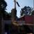 Tree service and garden 11 thumbnail