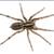 PEST CONTROL SERVICES $59 + tax special, NO CONTRACTS 1 thumbnail