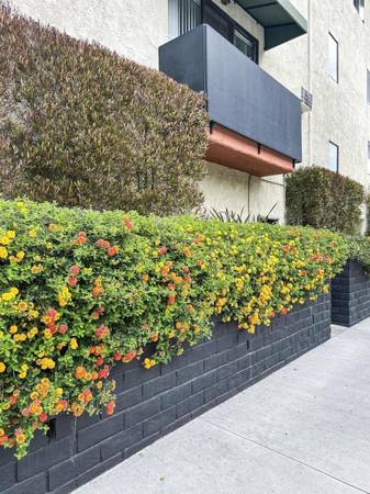 $2,245 / 1br - Beautiful 1B/1B Apartment ~ Excellent location! ~ Great Price! ~ (North Hollywood)63840115325697122