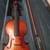 Viola 1 thumbnail