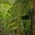 Rare Santa Cruz Mountains Lot – 0.88 Acres + 0.13 Bonus Parcel 6 thumbnail