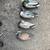 duck decoys 1 thumbnail