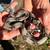 Snakes Need a new home Guyana Red Tail Boas 1 thumbnail