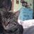 Cat 3 thumbnail