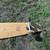 MAGNETO LONGBOARD skateboard works great 3 thumbnail