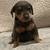 Min pins 8 thumbnail