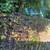 LANDSCAPING IN FREE ESTIMATES 5 thumbnail