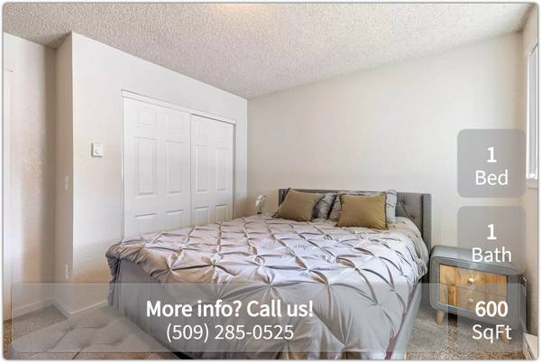 $1,195 / 1br - 600ft2 - Purrrrrrrfect! Cats and dogs welcome. Come check us out. (Kennewick)63821560025345120