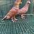 High Flying Tippler Pigeons - $15 (Kingsville) 5 thumbnail