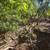 Residential - Custom Home Site - Located in Orinda, "El Toyonal" 8 thumbnail