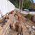 Ramirez the green landscaping maintenance n san diego areas 23 thumbnail
