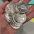 Gemini Gold & Silver Wholesalers 8 thumbnail