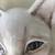 Large Ceramic Cat, Made in Italy 10 thumbnail