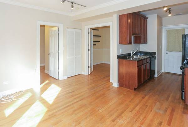 $2,550 / 2br - Laundry in the Unit! Central AC! Lakeview Location! (Lakeview)63899125533955120