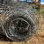 Field fence 2 thumbnail