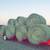 Hay For Sale 1 thumbnail