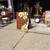 ATTENTION!!!RUMMAGE: DEALS,DEALS, DEALS 4 thumbnail