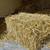 SMALL SQUARE BALES OF STRAW, 21 BALE BUNDLES, BALED NICE & DRY 6 thumbnail