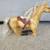 Vintage Barbie Horse 4 thumbnail