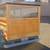 1931 Woody 9 thumbnail