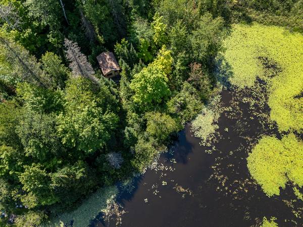 $83,900 / 283140ft2 - 6.5 Acres of Pure Serenity on Chaney Lake! (Bessemer)64151610588417123