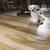Hard Maple Flooring 1 thumbnail