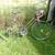 SCHWINN BIKES 3 thumbnail