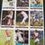 Huge sports card lot 6 thumbnail