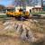 The Stump Guy~Stump Grinding/Stump Removal 12 thumbnail