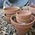 Clay Flower Pots 4 thumbnail