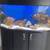 Fish tank 2 thumbnail