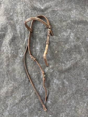 Leather Headstall 1
