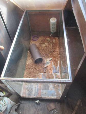 animal/reptile cage-$40 (PERKASIE)63797791898241120