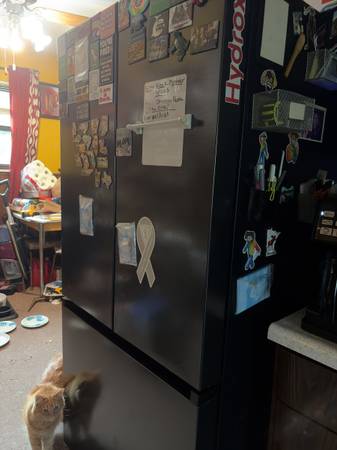 Samsung fridge 1