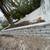 Tree service fence  pavers pressure washing hardscaping stump grinding 2 thumbnail