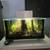 Fluval Edge 6 Gallon Forest Oasis - (Collectible Item) 1 thumbnail