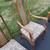 5 dining room chairs 6 thumbnail