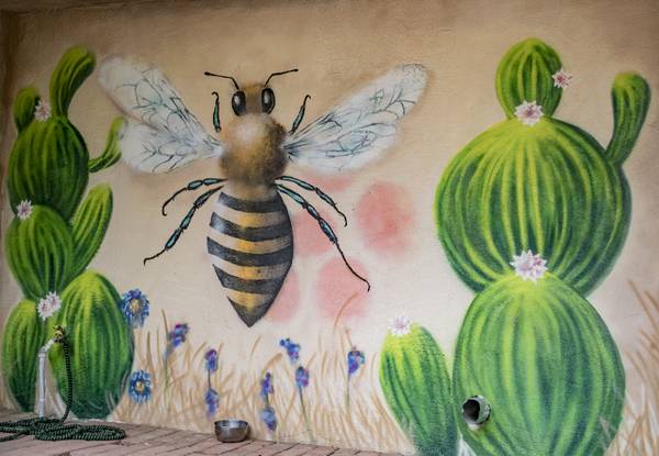 Artista de mural (Albuquerque)63312591928577123