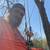 Tree removal!!Tree trimming!! Stump grinding!!Free Estimates 5 thumbnail