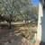 OFF MARKET CANYON LAKE CONDO SELLING 190K UNDER TAX VALUE! 3 thumbnail