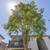 1 Bed - 1 Bath, Make Solera Your New Home! Pre Lease today! 10 thumbnail