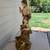 L & F Moreau Standing Lamp, Young Boy & Girl 9 thumbnail