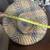 Vintage Authentic East Asian Farmer Conical Collie Rattan Hat Unique w 4 thumbnail