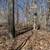 1.5 Story Basement Home with Large Shop on 4.36 Acres 22 thumbnail