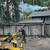 Chipping, stump grinding, felling, trimming, weed whacking, firewood splitting, 4 thumbnail