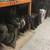 Subaru doors, hatches, trunks for sale Impreza, WRX, Legacy, Forester 5 thumbnail