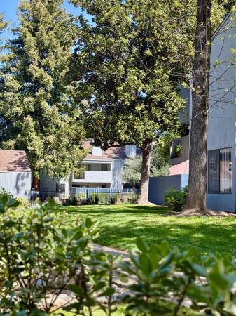$1,750 / 2br - 968ft2 - Comfort starts with Community😍 2x1 Large (Modesto) (Modesto)64021481353218124