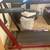 Treadmill 1 thumbnail